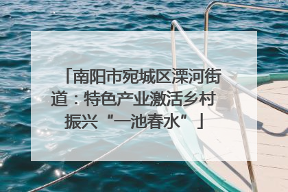 南阳市宛城区溧河街道：特色产业激活乡村振兴“一池春水”