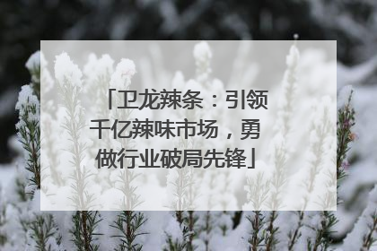 卫龙辣条：引领千亿辣味市场，勇做行业破局先锋