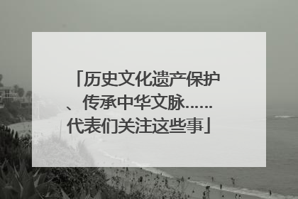 历史文化遗产保护、传承中华文脉……代表们关注这些事