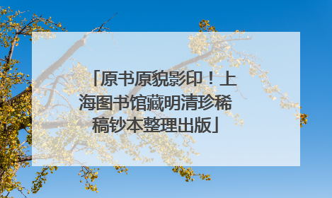 原书原貌影印！上海图书馆藏明清珍稀稿钞本整理出版
