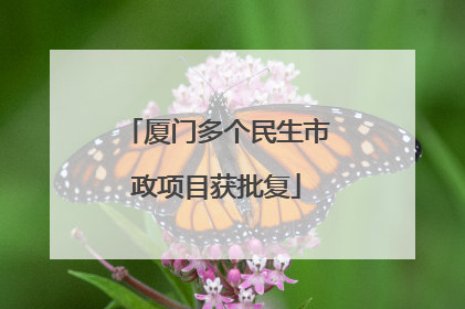 厦门多个民生市政项目获批复