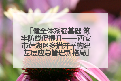 健全体系强基础 筑牢防线促提升——西安市莲湖区多措并举构建基层应急管理新格局