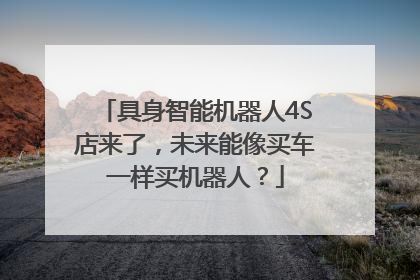 具身智能机器人4S店来了，未来能像买车一样买机器人？