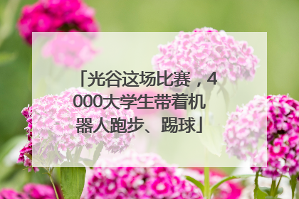 光谷这场比赛，4000大学生带着机器人跑步、踢球