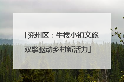 兖州区：牛楼小镇文旅双擎驱动乡村新活力