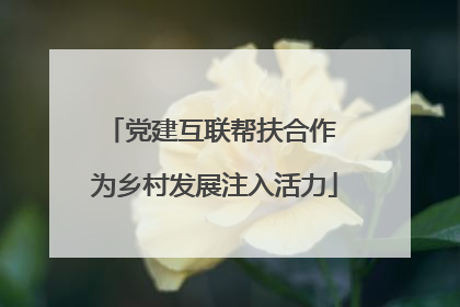 党建互联帮扶合作 为乡村发展注入活力
