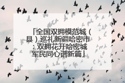 全国双拥模范城（县）巡礼新疆哈密市：双拥花开哈密城 军民同心谱新篇