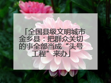 全国县级文明城市金乡县：把群众关切的事全部当成“头号工程”来办