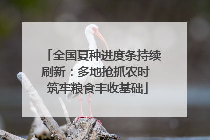全国夏种进度条持续刷新：多地抢抓农时 筑牢粮食丰收基础