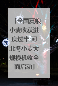 全国夏粮小麦收获进度过半 河北冬小麦大规模机收全面启动