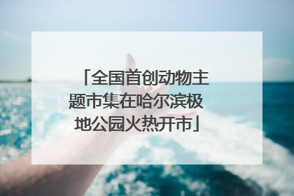 全国首创动物主题市集在哈尔滨极地公园火热开市