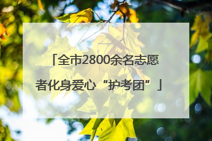 全市2800余名志愿者化身爱心“护考团”