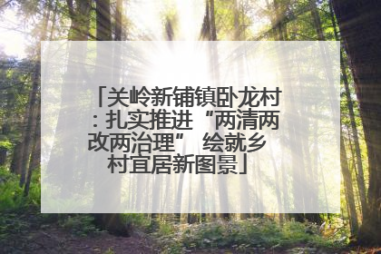 关岭新铺镇卧龙村：扎实推进“两清两改两治理” 绘就乡村宜居新图景