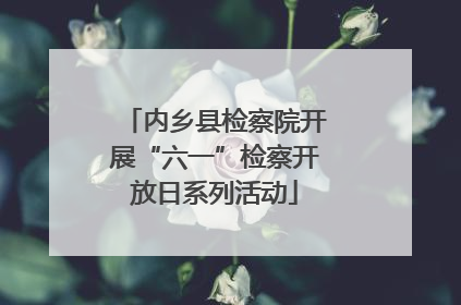 内乡县检察院开展“六一”检察开放日系列活动