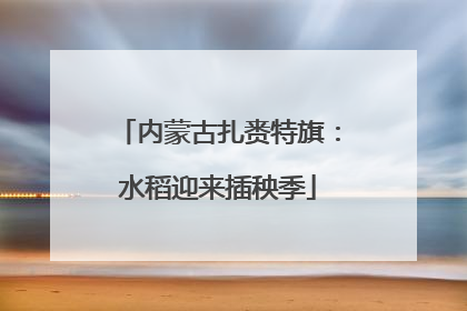 内蒙古扎赉特旗：水稻迎来插秧季