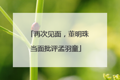 再次见面，董明珠当面批评孟羽童