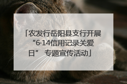 农发行岳阳县支行开展“6·14信用记录关爱日” 专题宣传活动