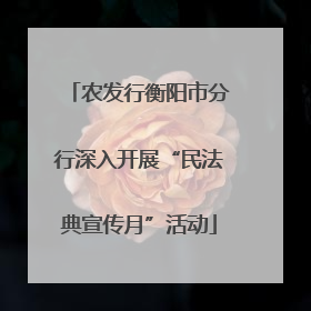 农发行衡阳市分行深入开展“民法典宣传月”活动
