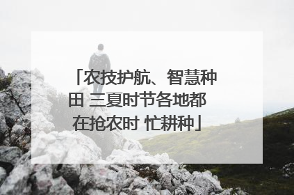 农技护航、智慧种田 三夏时节各地都在抢农时 忙耕种