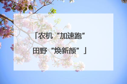 农机“加速跑” 田野“焕新颜”