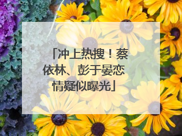 冲上热搜！蔡依林、彭于晏恋情疑似曝光