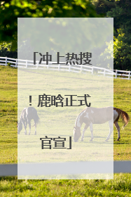 冲上热搜！鹿晗正式官宣