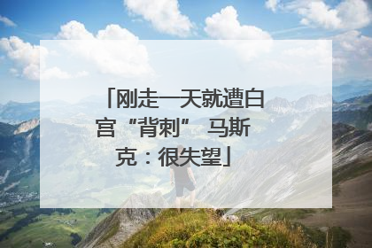 刚走一天就遭白宫“背刺” 马斯克：很失望