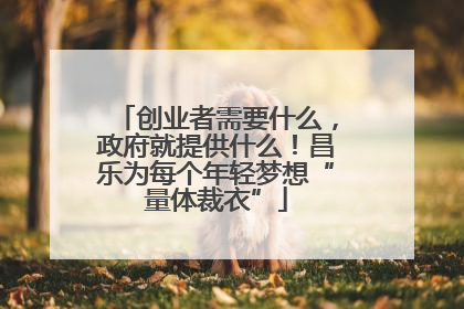 创业者需要什么，政府就提供什么！昌乐为每个年轻梦想“量体裁衣”