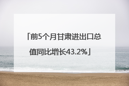 前5个月甘肃进出口总值同比增长43.2%
