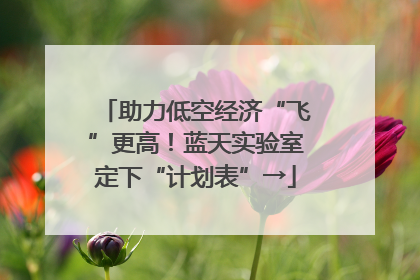助力低空经济“飞”更高！蓝天实验室定下“计划表”→