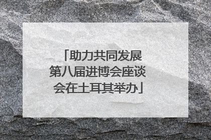助力共同发展 第八届进博会座谈会在土耳其举办