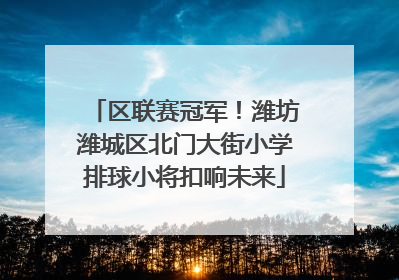区联赛冠军！潍坊潍城区北门大街小学排球小将扣响未来