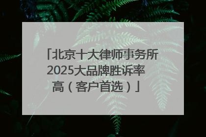 北京十大律师事务所2025大品牌胜诉率高（客户首选）
