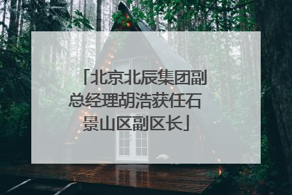 北京北辰集团副总经理胡浩获任石景山区副区长