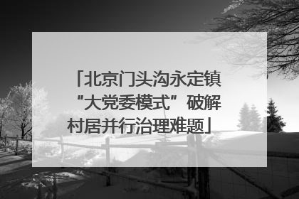 北京门头沟永定镇“大党委模式”破解村居并行治理难题