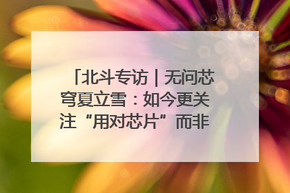 北斗专访｜无问芯穹夏立雪：如今更关注“用对芯片”而非“用贵芯片”