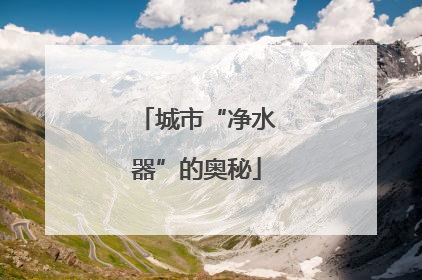 城市“净水器”的奥秘