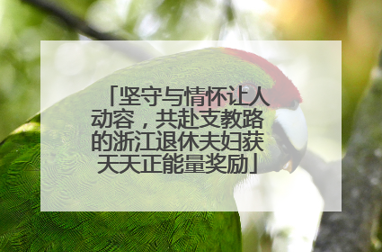 坚守与情怀让人动容，共赴支教路的浙江退休夫妇获天天正能量奖励