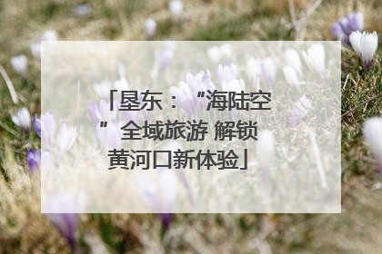 垦东：“海陆空”全域旅游 解锁黄河口新体验