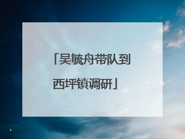 吴毓舟带队到西坪镇调研