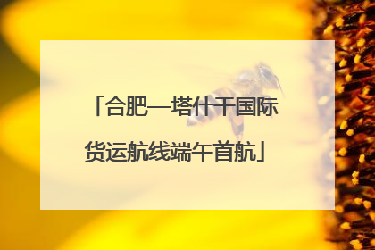 合肥—塔什干国际货运航线端午首航