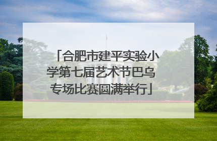 合肥市建平实验小学第七届艺术节巴乌专场比赛圆满举行
