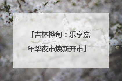 吉林桦甸：乐享嘉年华夜市焕新开市