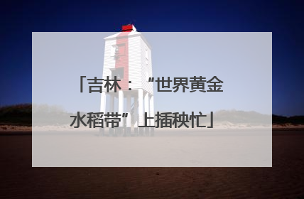 吉林：“世界黄金水稻带”上插秧忙