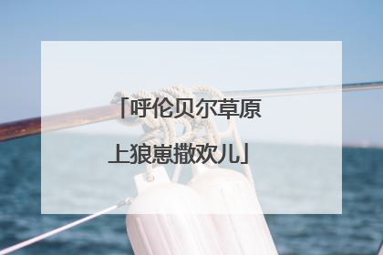 呼伦贝尔草原上狼崽撒欢儿
