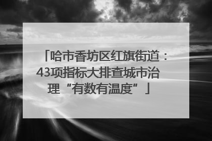 哈市香坊区红旗街道：43项指标大排查城市治理“有数有温度”