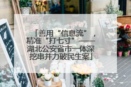 善用“信息流”，精准“打七寸”——湖北公安省市一体深挖串并力破民生案