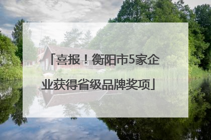 喜报！衡阳市5家企业获得省级品牌奖项