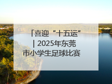 喜迎“十五运”｜2025年东莞市小学生足球比赛圆满收官