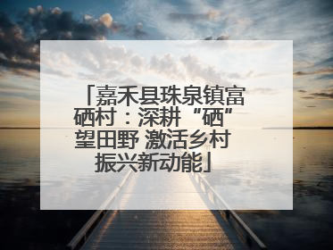 嘉禾县珠泉镇富硒村：深耕“硒”望田野 激活乡村振兴新动能